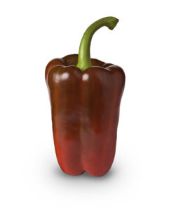 Papryka Alcudia F1